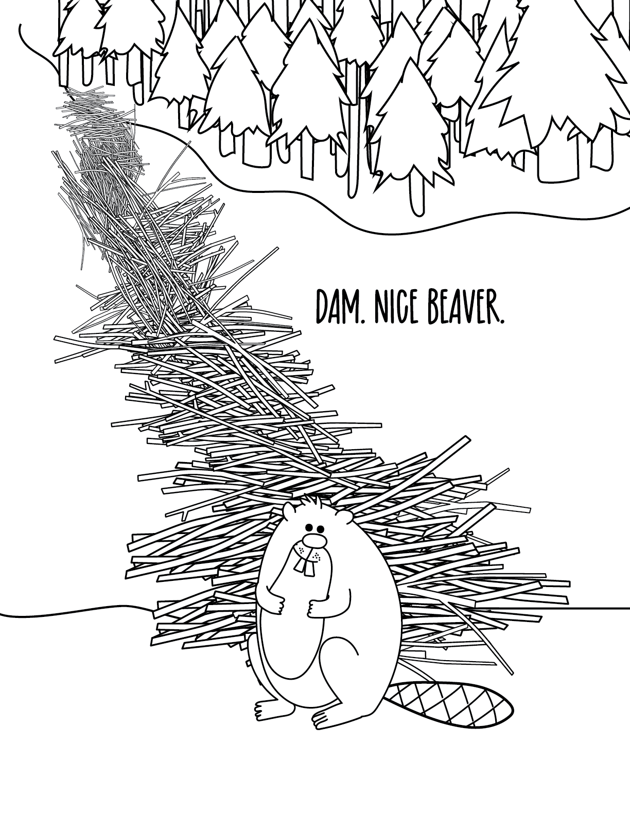 Dam. Nice Beaver.
