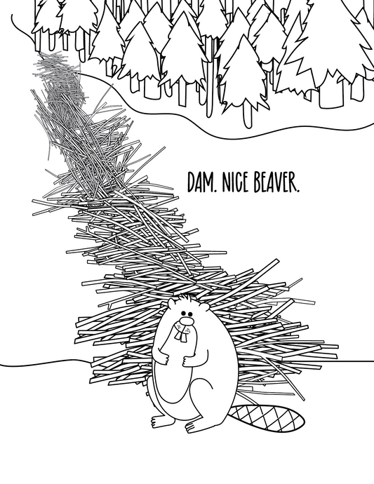 Dam. Nice Beaver.